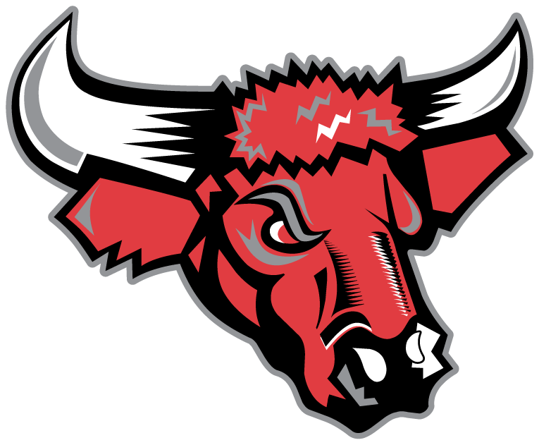 Nebraska-Omaha Mavericks 1997-2003 Secondary Logo diy iron on heat transfer